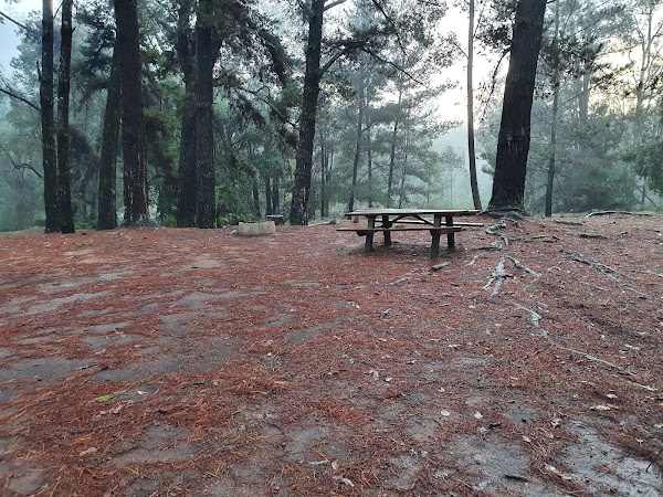 Nanga Mill Campground 3