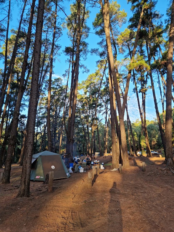 Nanga Mill Campground 2