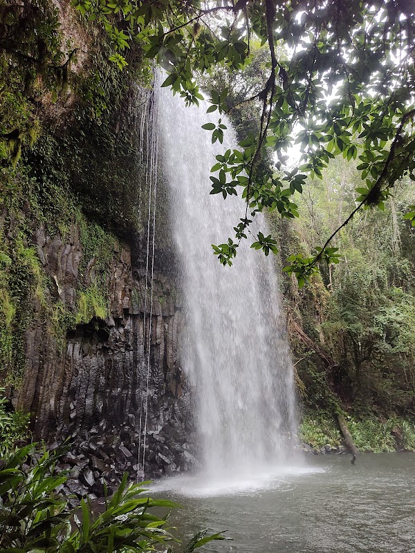 Millaa Millaa Falls 5