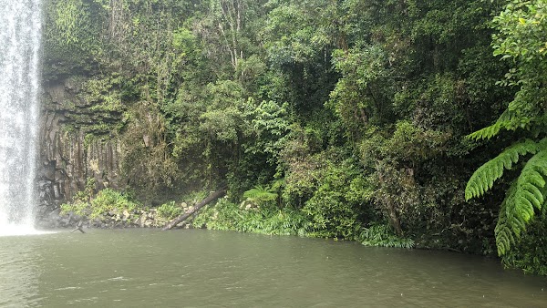 Millaa Millaa Falls 4