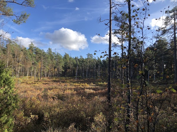 Kävsjön