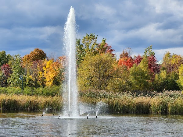 Woodbine Park 4