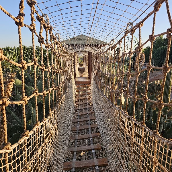 Crocoparc 3