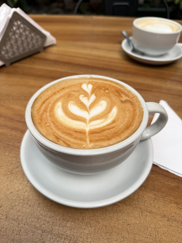 Circles Cafe & Bakery 3