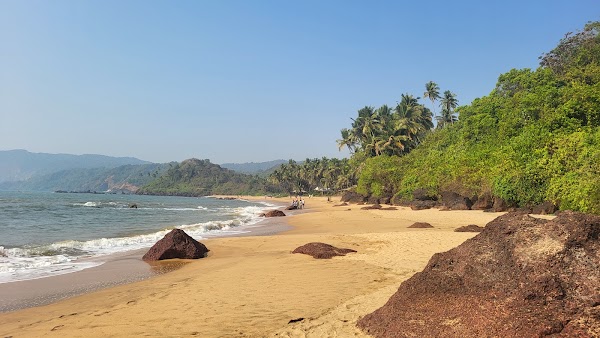 Cola Beach 5