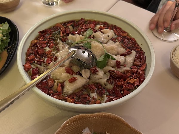 Sichuan Citizen 2
