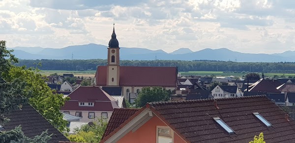 Ringsheim 1