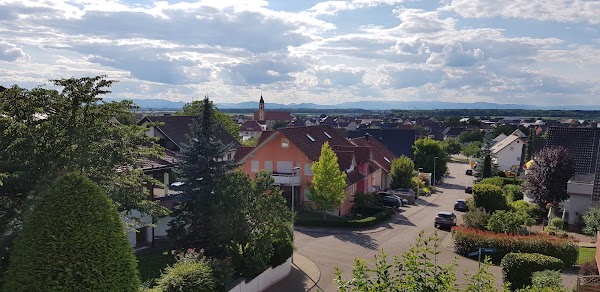 Ringsheim 5