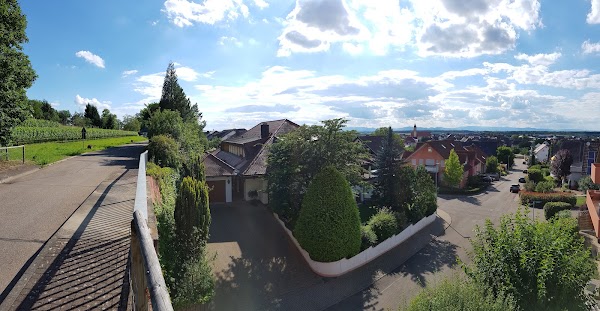Ringsheim 3
