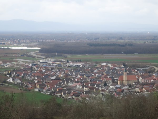 Ringsheim 2