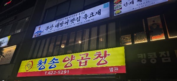 Busan 67