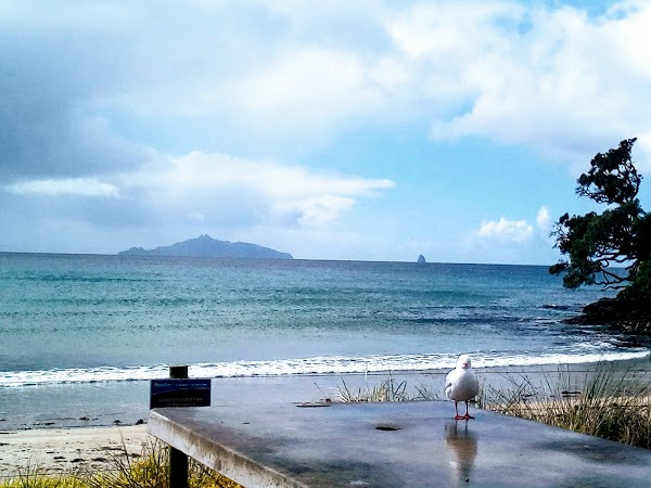 Waipu Cove 1