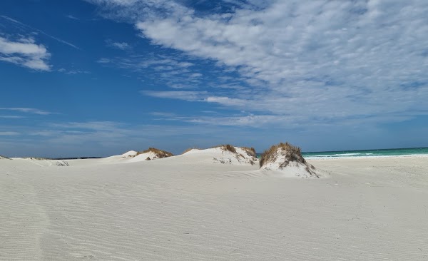 Wedge Island 5