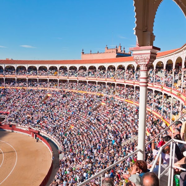 Las Ventas Bullring 5