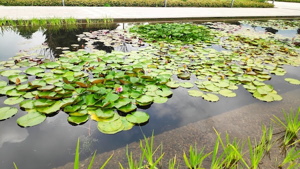 Botanical garden 5