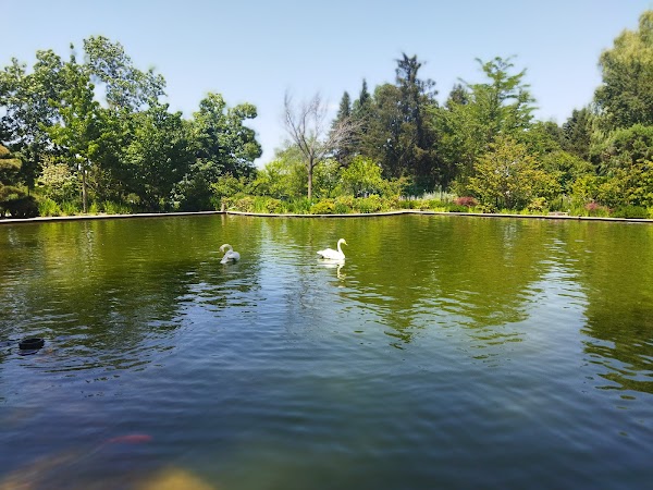 Botanical garden 3