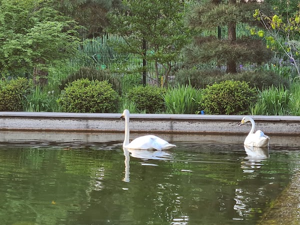 Botanical garden 2