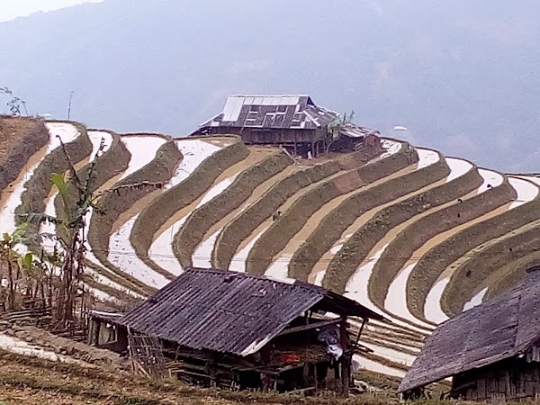 Chí Tài Homestay 3