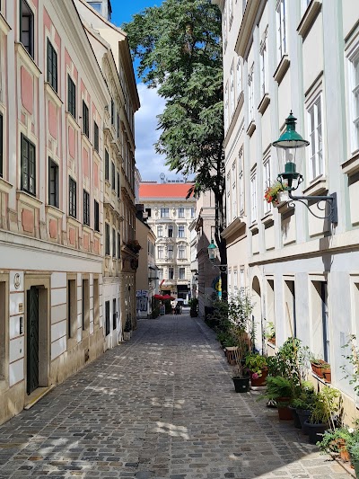 Vienna 4