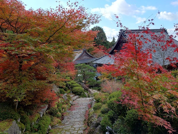 Hyakusaji Main Hall 4