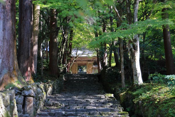 Hyakusaji Main Hall 3