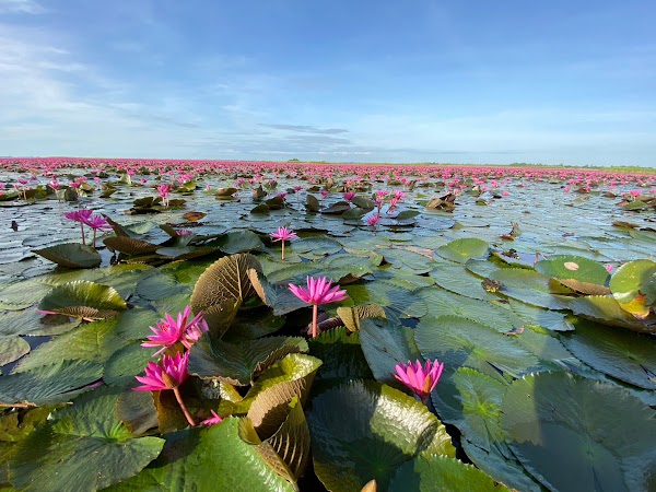 Thailand must visit 2026 82