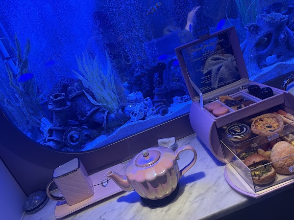上野 アクアリウムレストラン Nautilus 4