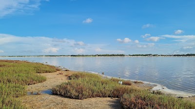 Lake Retba 1