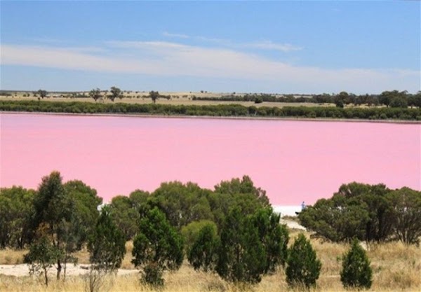 Lake Retba 5
