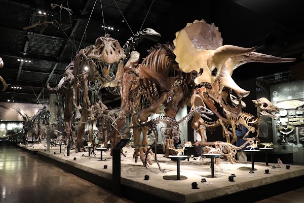 Mifune Dinosaur Museum