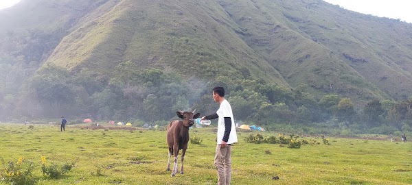Sembalun 4