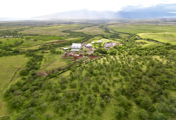 Ocean Vodka Organic Farm and Distillery