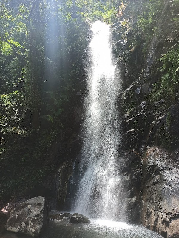 Ng Tung Chai 5