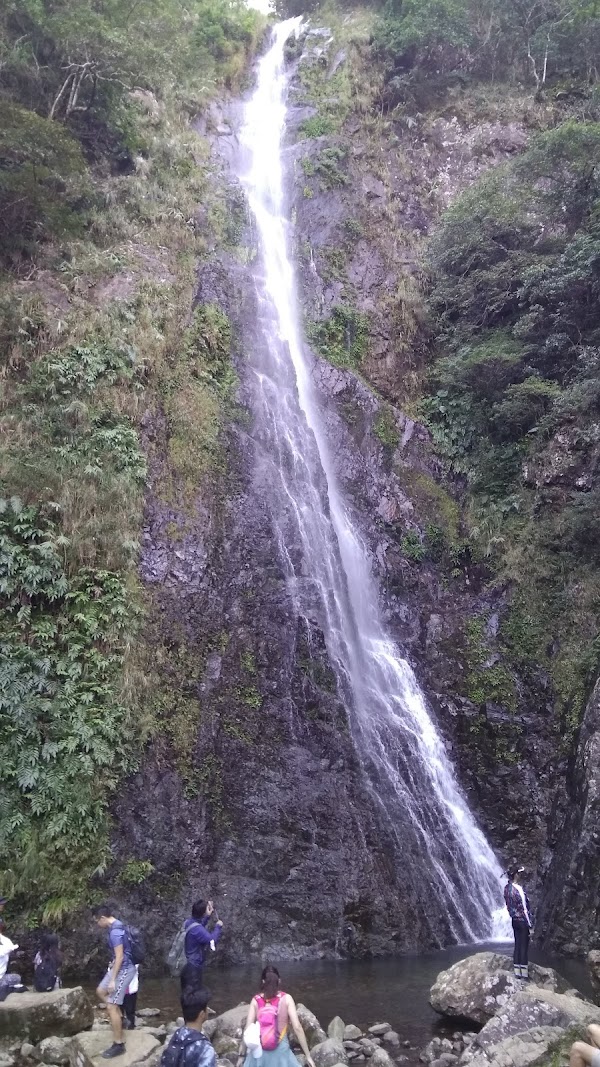 Ng Tung Chai 2
