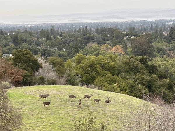 Rancho San Antonio Open Space Preserve