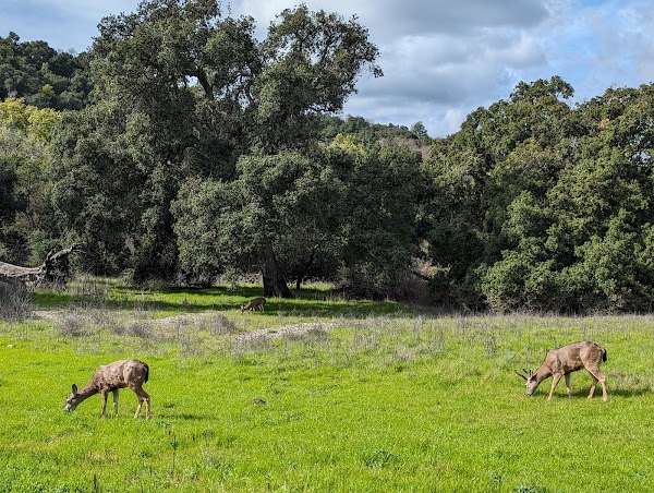 Rancho San Antonio Open Space Preserve 5