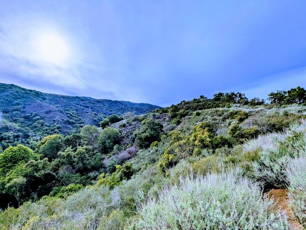 Rancho San Antonio Open Space Preserve 4