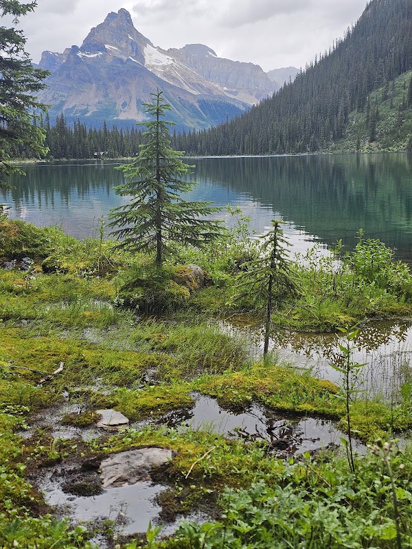 Lake O'Hara 3