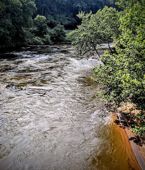 Tuckasegee River 1