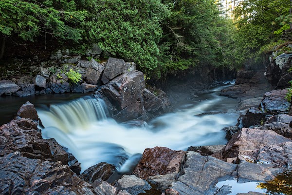 The Gut Conservation Area 1