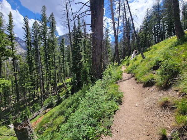 Iron Creek Trailhead 1