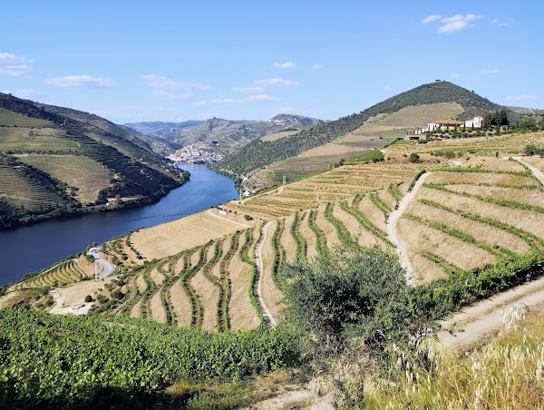 Quinta do Seixo 1