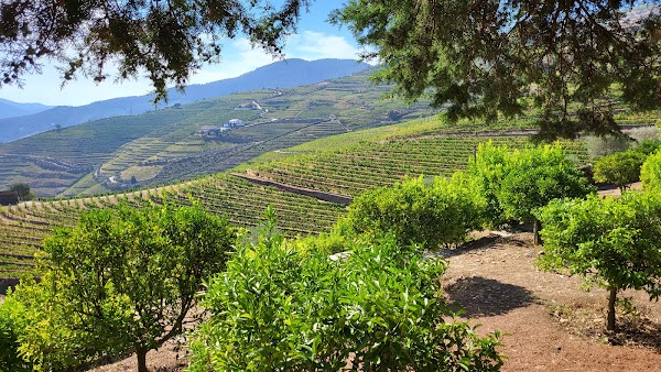Quinta do Seixo 5