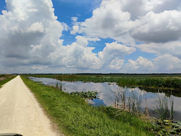 Lake Apopka Wildlife Drive 5
