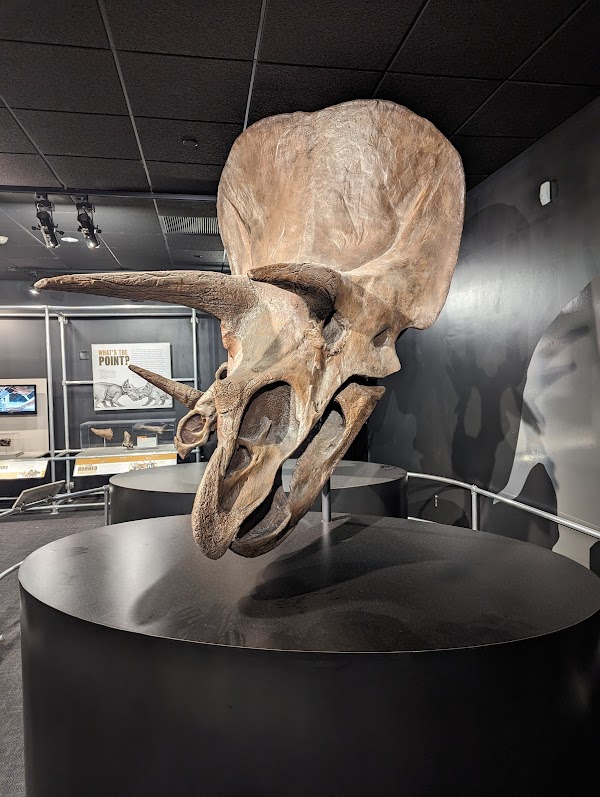 American Museum of Natural History Dinosaur Gallery 1