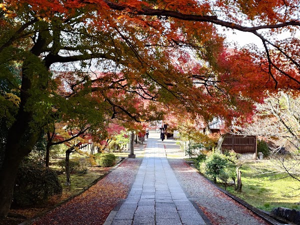 Yōgen-in Temple 5