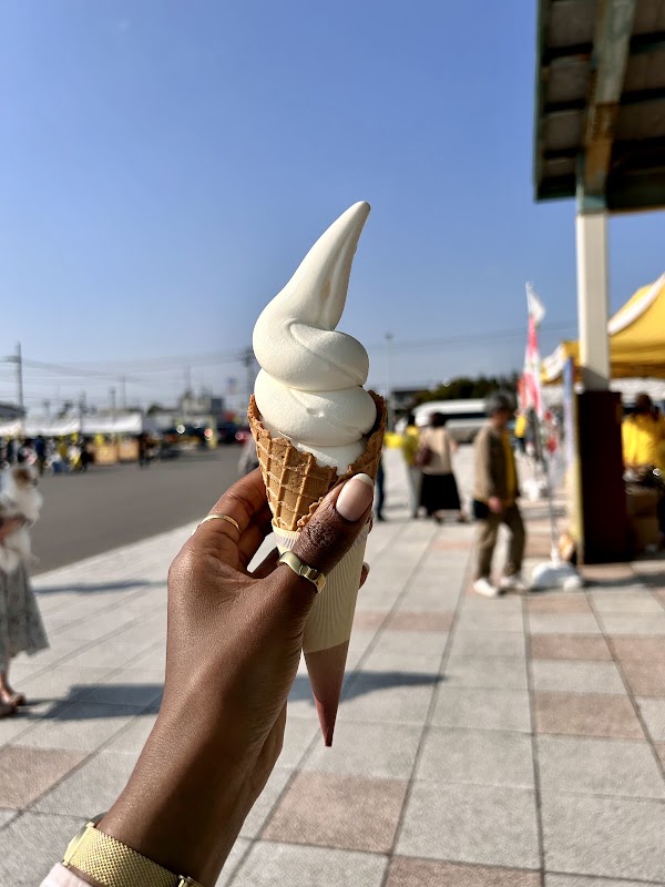 Takikawa Canola Flower Festival 3