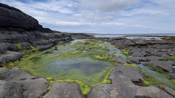Seal Colony Viewpoint