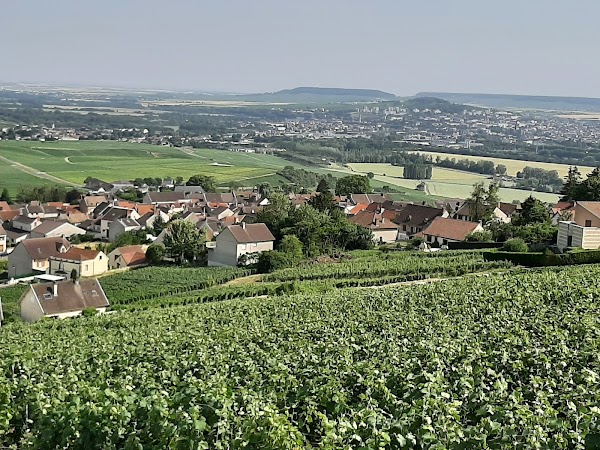 Hautvillers 1