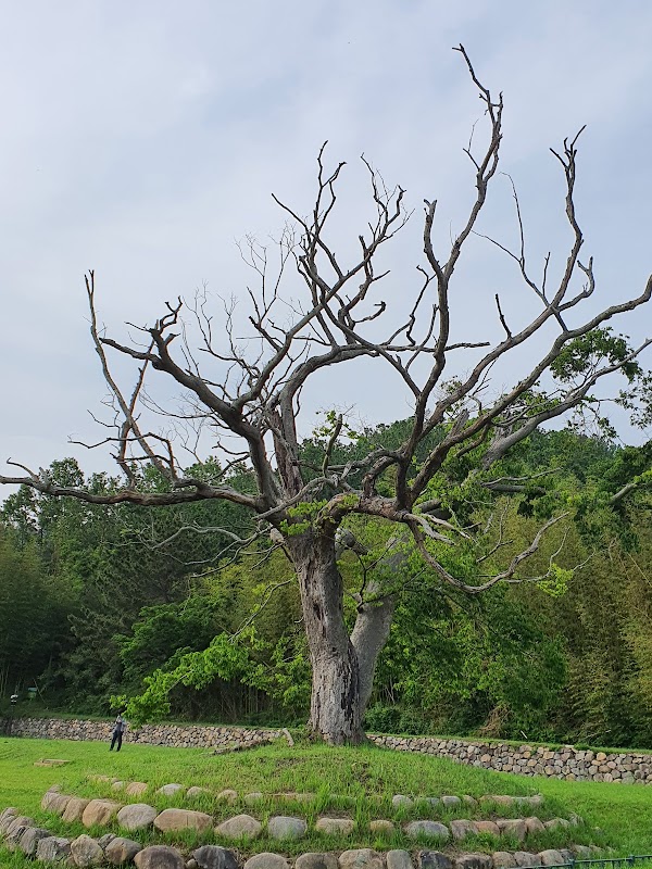 Gyeongju Gameunsa Temple Site 5